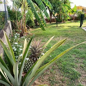 studio-cte-sous-le-vent.comcaribbean.com/